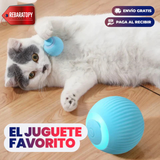 Pelota Interactiva Para Mascotas